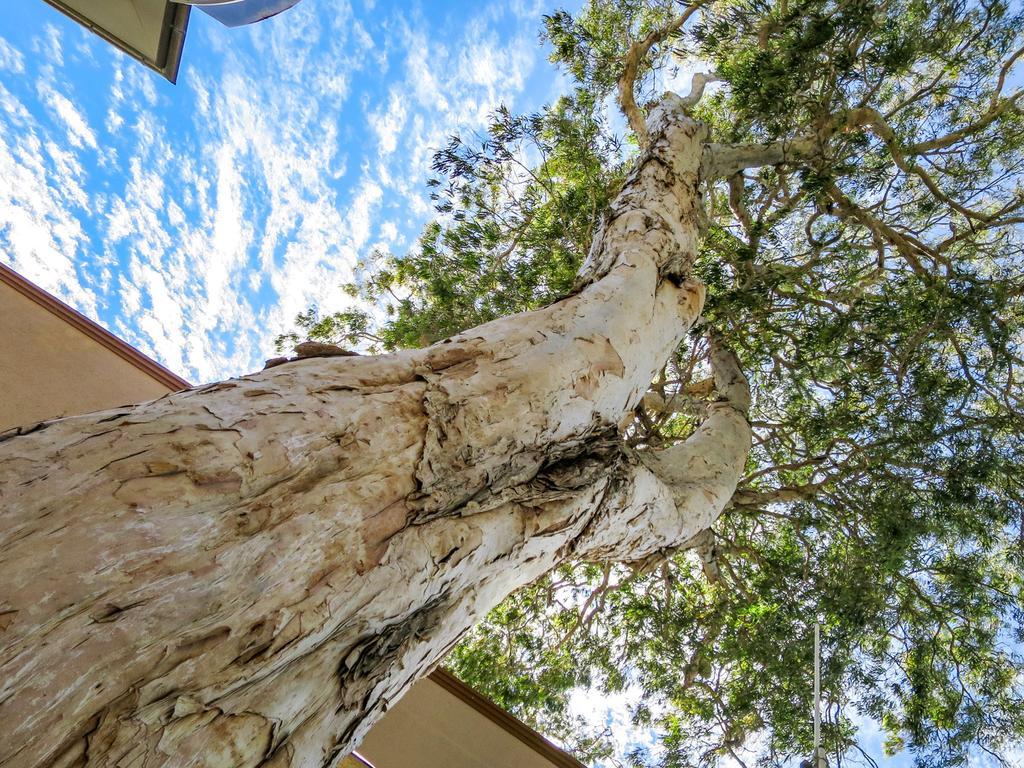 Marlin Waters Beachfront Apartments Palm Cove Luaran gambar