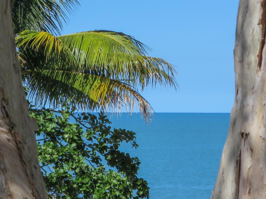 Marlin Waters Beachfront Apartments Palm Cove Luaran gambar